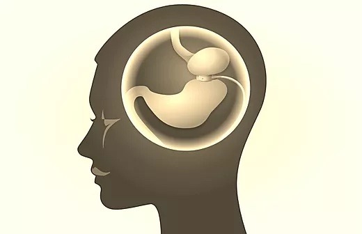 Lire la suite à propos de l’article L’Anneau Gastrique Virtuel
